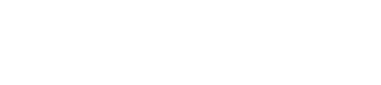 Discovery Siltron