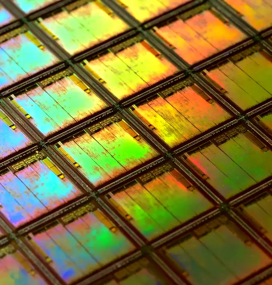 Đĩa wafer silicon